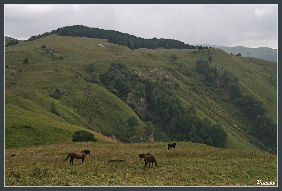 photo "Pasture in Kislovodsk" tags: landscape, mountains