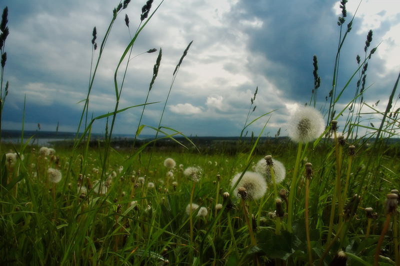 photo "***" tags: landscape, summer