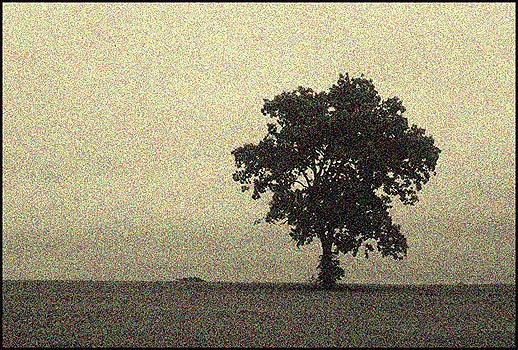 photo "Lonesome Tree In Pointilism Art" tags: landscape, old-time, clouds