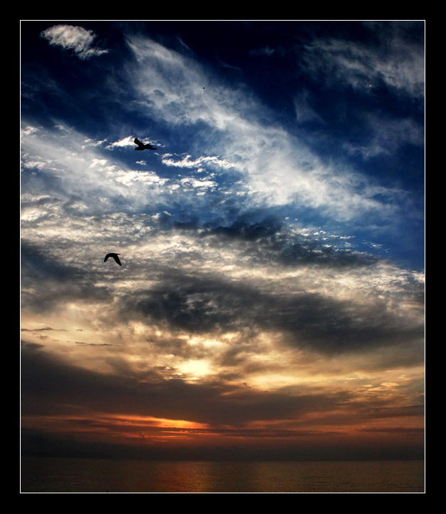 photo "The seagull" tags: landscape, clouds, sunset