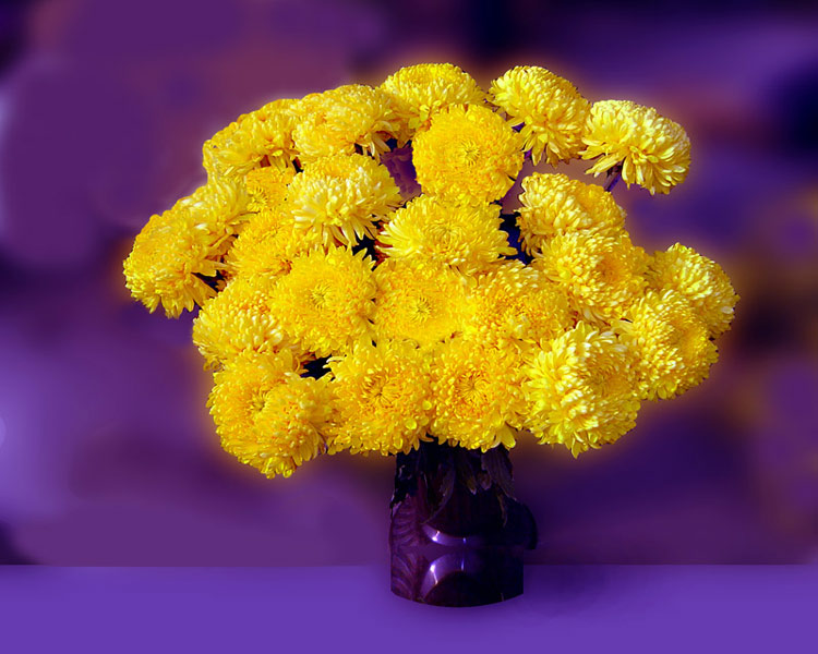 photo "Still-Life" tags: still life, 