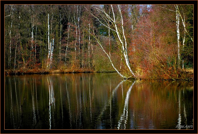 фото "reflection" метки: пейзаж, природа, осень