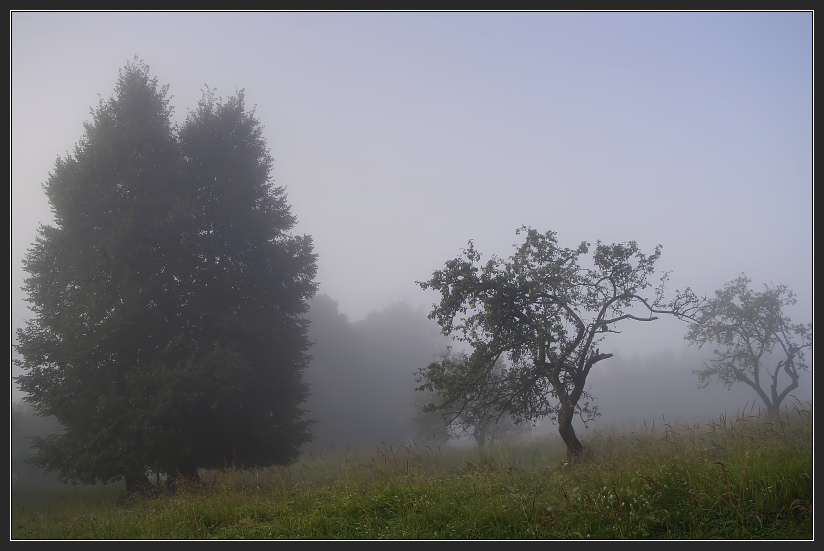 photo "The first autumn fog" tags: landscape, autumn, forest