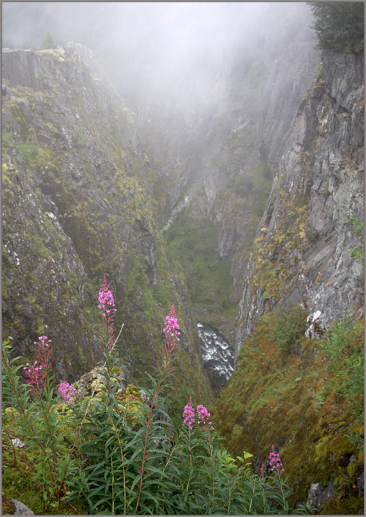 photo "***" tags: landscape, mountains, summer