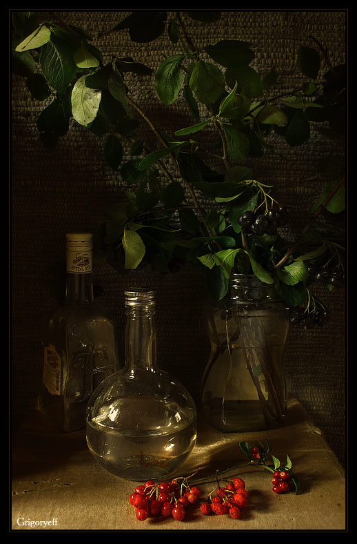 photo "Ashberry-drunk" tags: still life, 