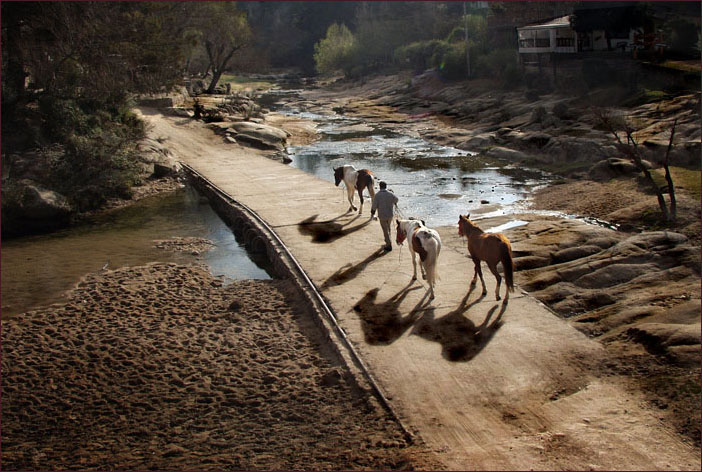 photo "finishing a hard day.." tags: landscape, nature, forest, pets/farm animals