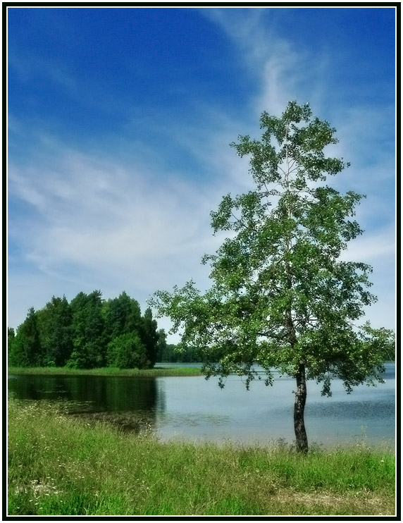 фото "***" метки: пейзаж, вода, лето