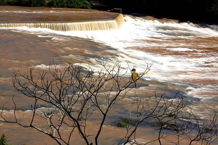 photo "the voyeur" tags: landscape, water