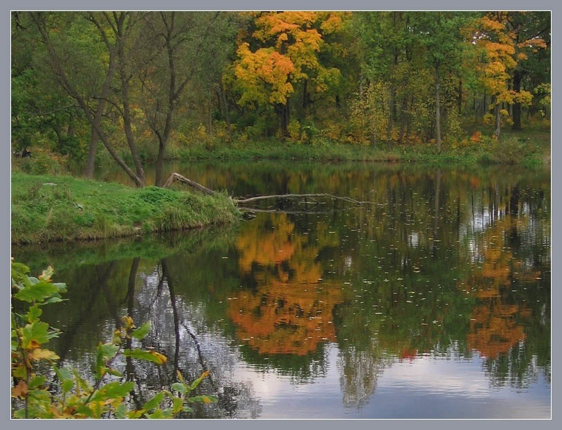 photo "September" tags: landscape, autumn, forest