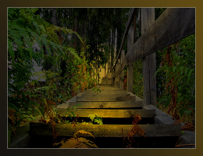 photo "143 steps" tags: misc., 