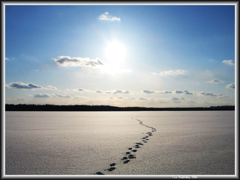 photo "Gone..." tags: landscape, sunset, winter
