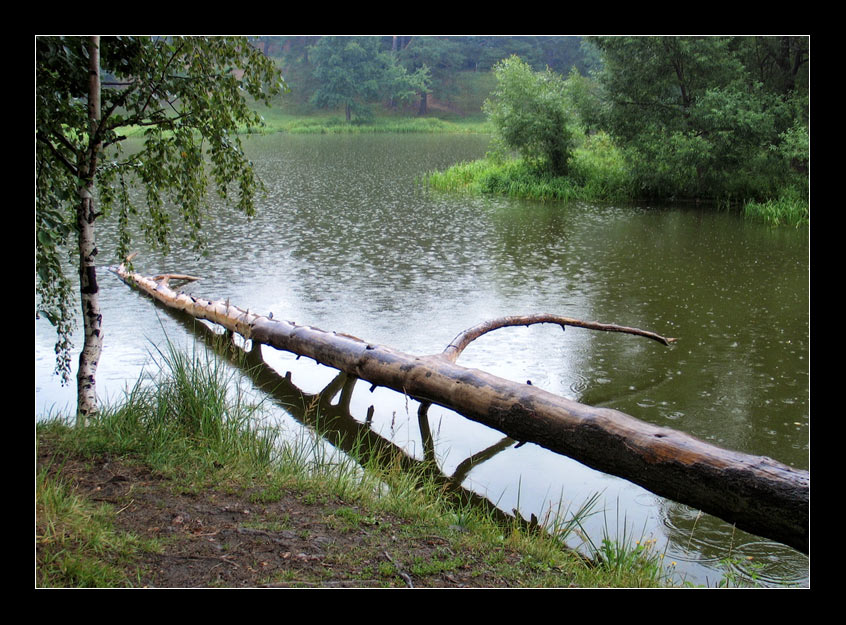 photo "Rain..." tags: landscape, water