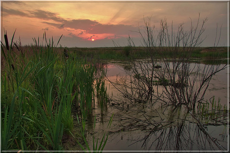 photo "Bog" tags: landscape, sunset, water