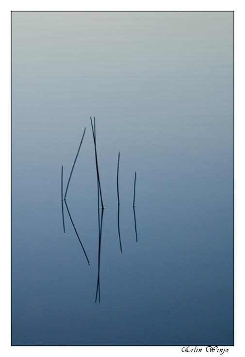 photo "***" tags: landscape, sunset, water