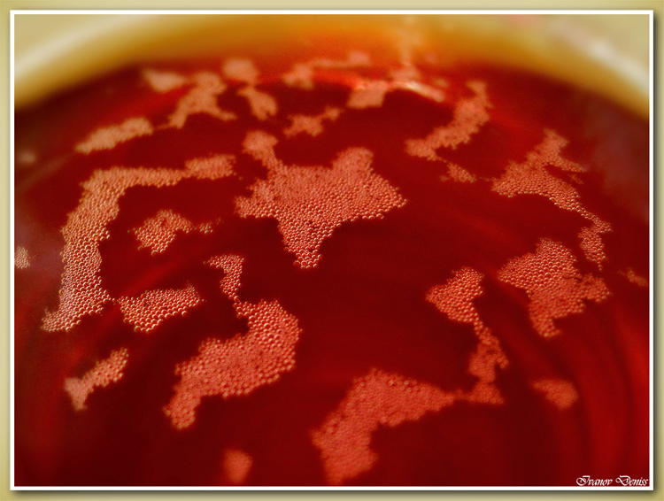 photo "Tea map" tags: macro and close-up, abstract, 