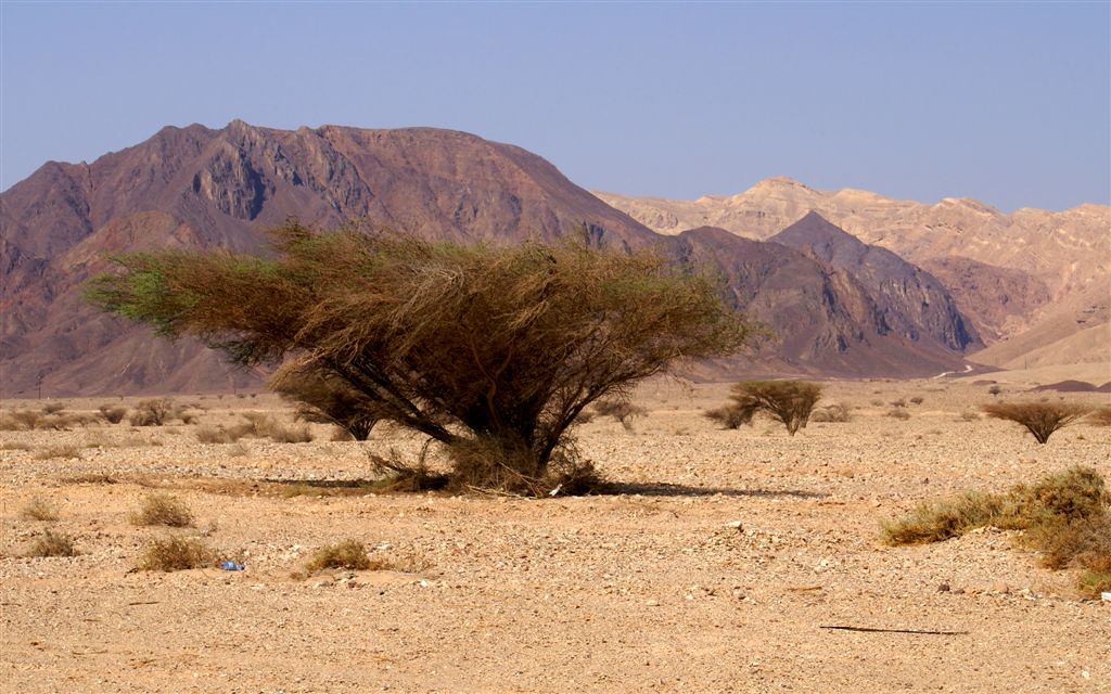 photo "Negev" tags: landscape, mountains, summer