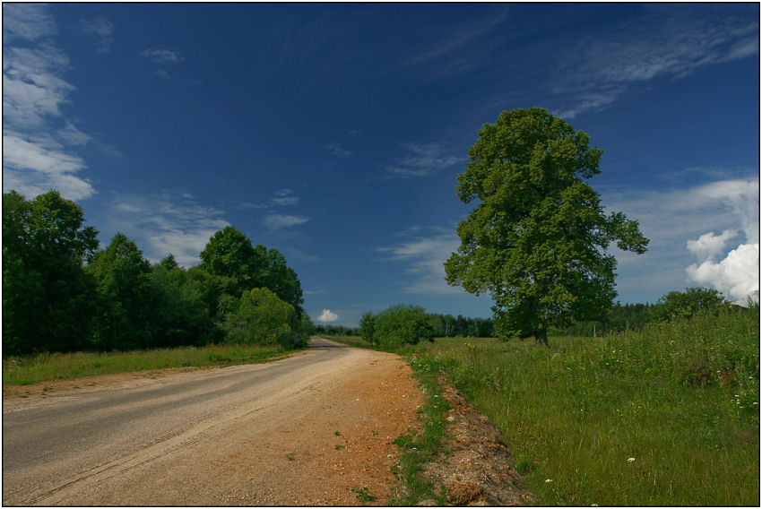 photo "Road" tags: landscape, clouds, forest