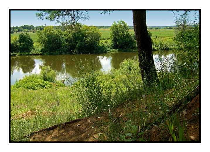 photo "Giving, From Summer." tags: landscape, forest, summer