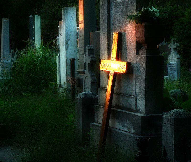 photo "shine on cemetery" tags: misc., 