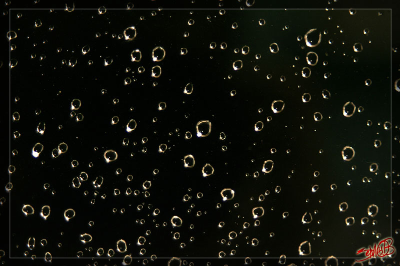 photo "Rain drops." tags: macro and close-up, abstract, 