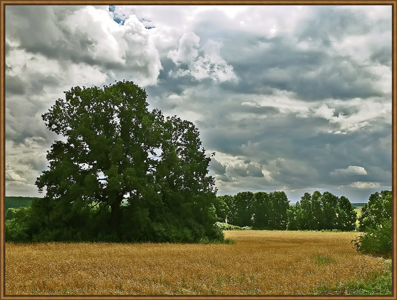 photo "***" tags: landscape, clouds