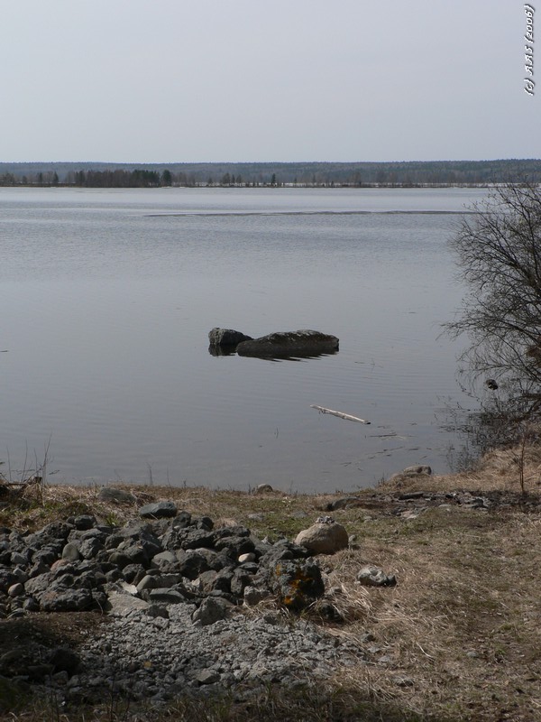 photo "Spring water" tags: nature, landscape, water