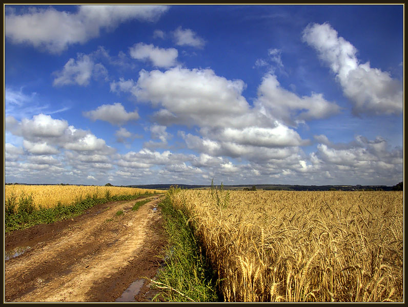 фото "дорога в осень" метки: пейзаж, лето, облака