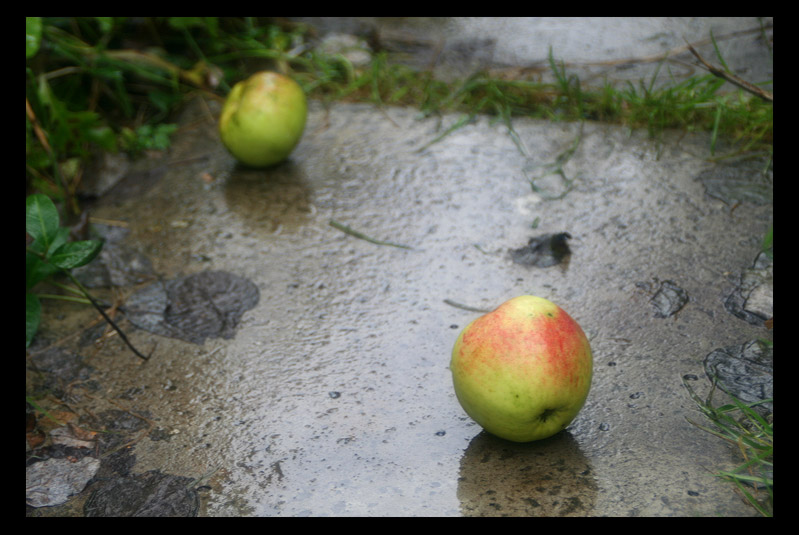 photo "Four seasons. September." tags: landscape, autumn