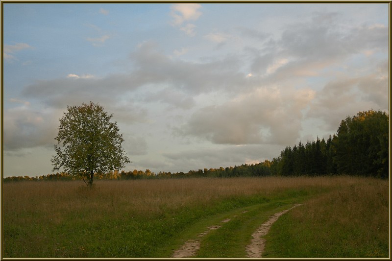 фото "на исходе дня..." метки: пейзаж, осень