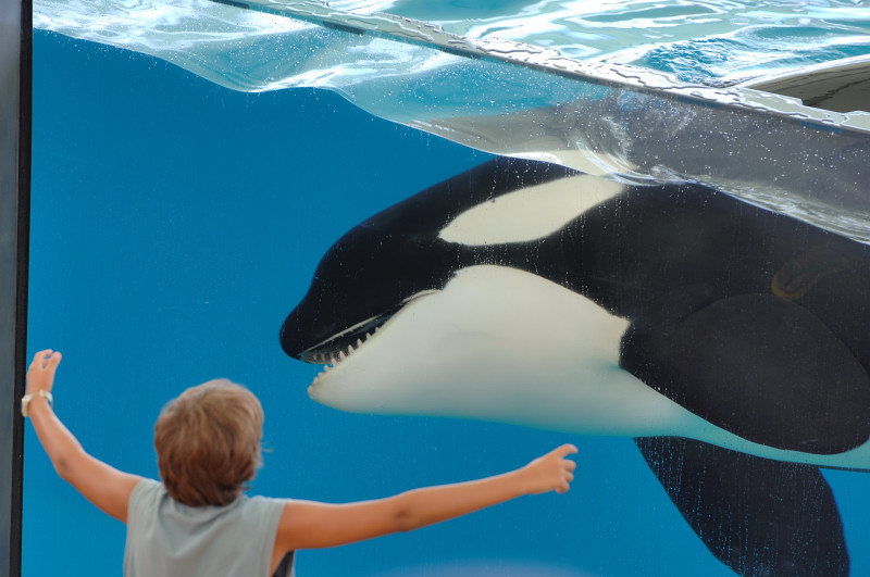 photo "The Big Hug" tags: travel, nature, Europe, wild animals