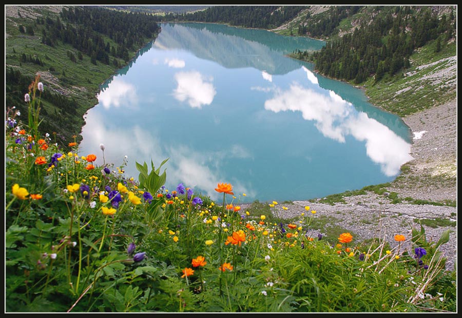 photo "***" tags: landscape, nature, flowers, mountains
