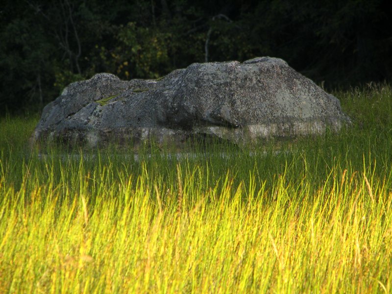 photo "Grey stone and colourful..." tags: landscape, autumn