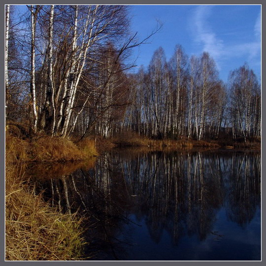 photo "In a presentiment of a snow..." tags: landscape, autumn, water