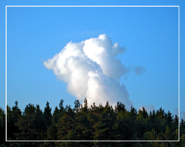 фото "Облако-рай" метки: пейзаж, лес, облака