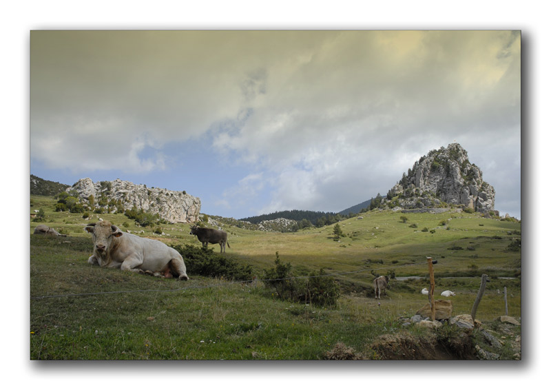 photo "Rasos Peguera2" tags: landscape, mountains