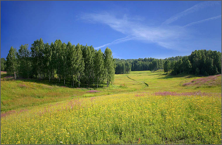 photo "Footpath" tags: landscape, summer