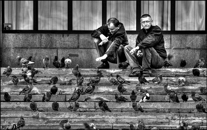 photo "About pigeons" tags: genre, 