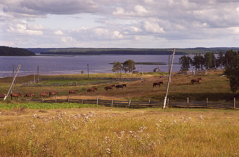 photo "***" tags: landscape, summer