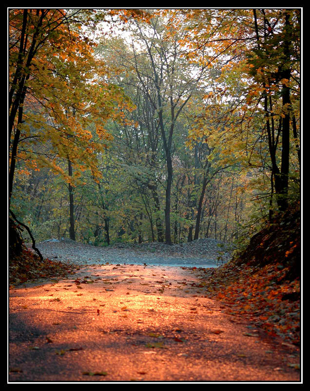 photo "***" tags: landscape, autumn