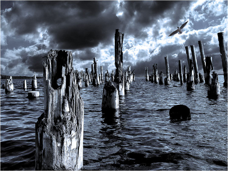 photo "Wooden soldiers" tags: landscape, montage, water