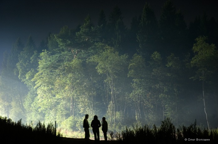 photo "Three forest dwellers" tags: landscape, forest, night