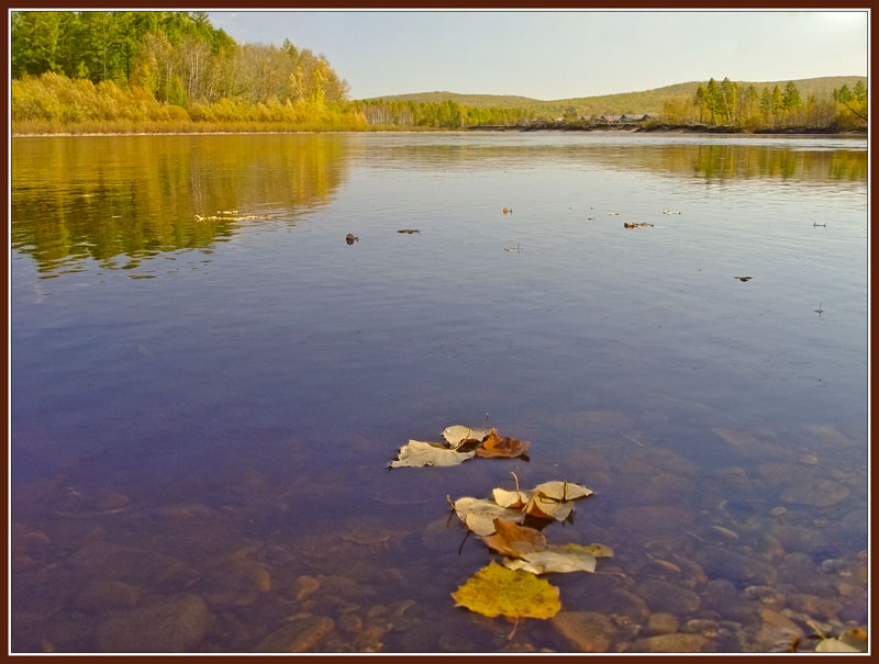 фото "Листья" метки: пейзаж, вода