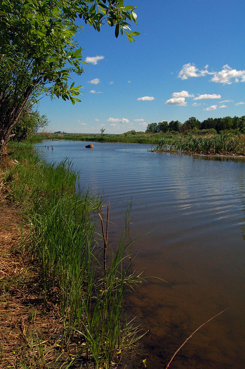 photo "***" tags: landscape, summer