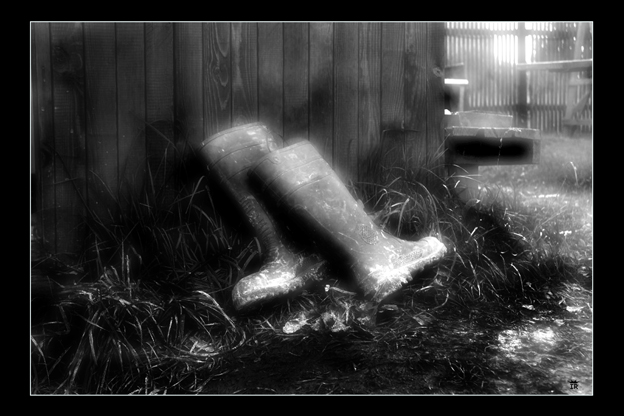 фото "***" метки: черно-белые, 