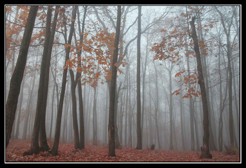photo "***" tags: landscape, autumn