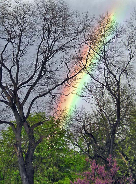 photo "Rainbow" tags: nature, landscape, 
