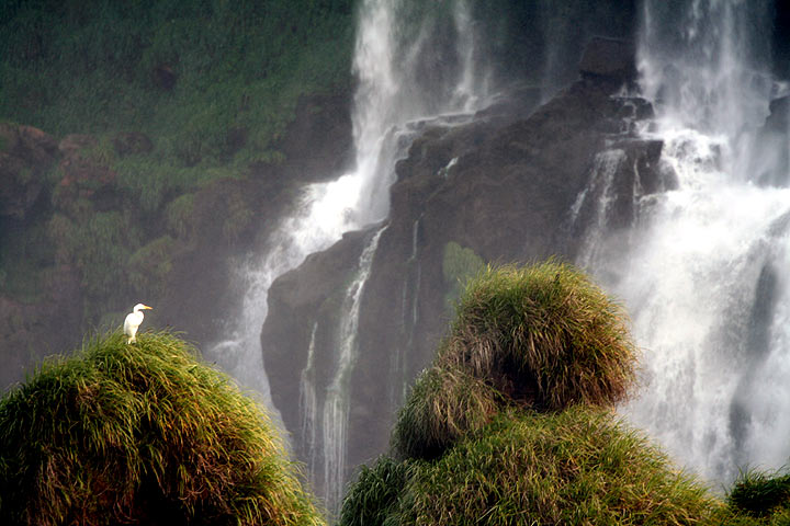 фото "Iguacu falls" метки: пейзаж, вода