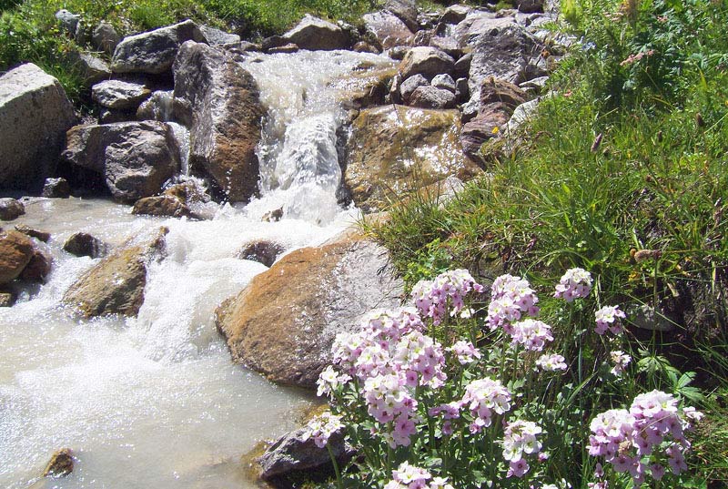 фото "Горный ручей" метки: пейзаж, путешествия, Европа, вода