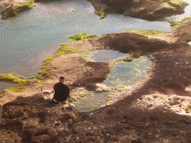 photo "cat and a man, esaouira,morroco" tags: , 