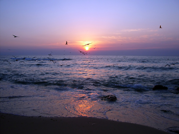 photo "***" tags: landscape, sunset, water